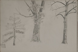 MSB160.jpg,Copyright (c) 2007,2012 by the Estate of Margaret S. Bucher, Elizabeth B. Lucas, executrix. All rights reserved.,contrast enhanced during editing, unsigned, unframed,PENCIL in sketch pad,12x18