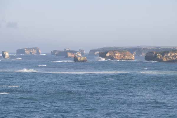 DSC_0184.jpg DSC_0184.jpg